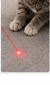 Niyara interactive pet toy lifestyle image